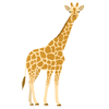 icon animal adaptation-en_gb