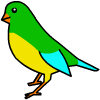 paint bird